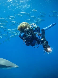 Halcyon Element Carbon Fibre Twin Backplate And Wing System 7 Halcyon Element Carbon Fibre Twin Backplate And Wing System -Free Dive Gears Sales Halcyon Element Twin 40lb Backplate and Wing System Lifestyle